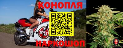 спиды Лесной