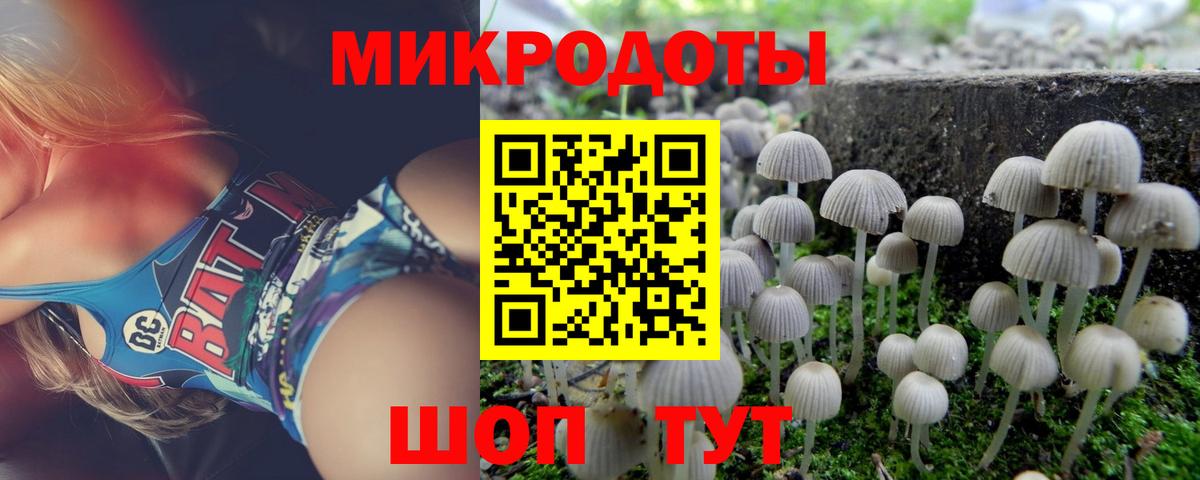 Галлюциногенные грибы Psilocybe Сунжа