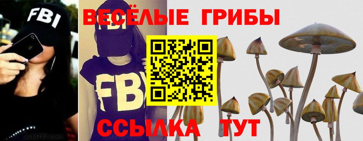 Галлюциногенные грибы Psilocybine cubensis  Вход с VPN  Галлюциногенные грибы ЛСД  Сунжа 