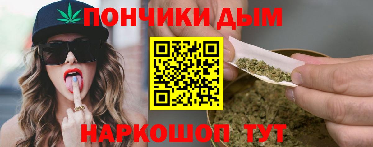 Шишки марихуана гибрид  Вход с VPN  МАРИХУАНА планчик  Конопля сатива  Шишки марихуана Amnesia  Сунжа 